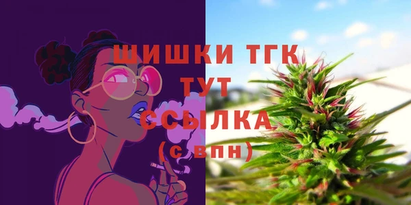 молекула духа Арсеньев