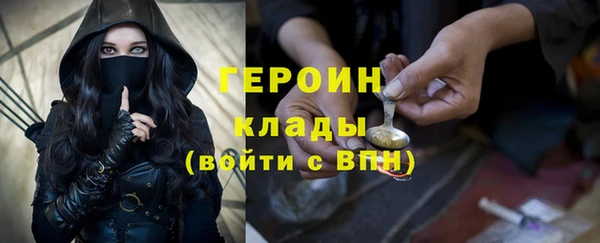 молекула духа Арсеньев