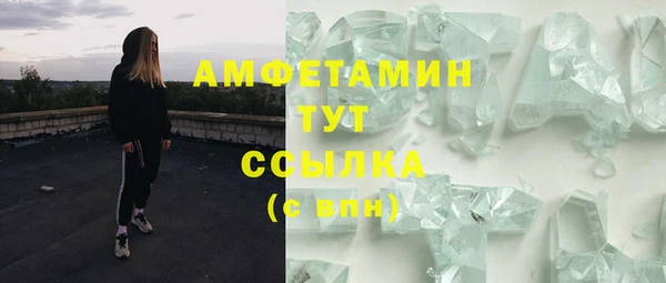 молекула духа Арсеньев