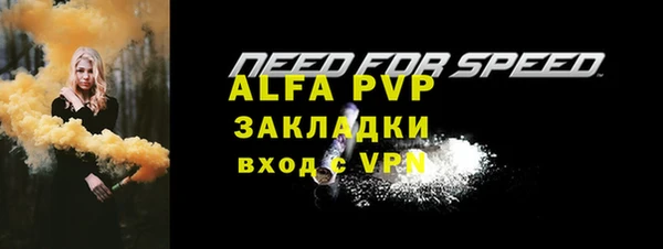 молекула духа Арсеньев