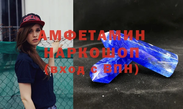 молекула духа Арсеньев