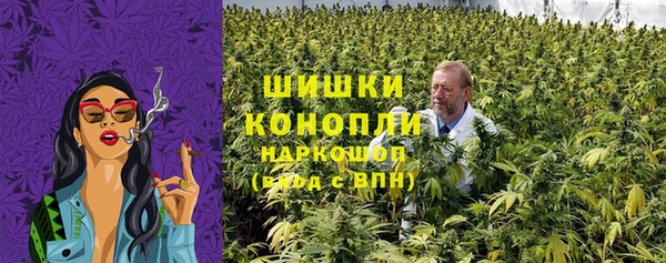 молекула духа Арсеньев