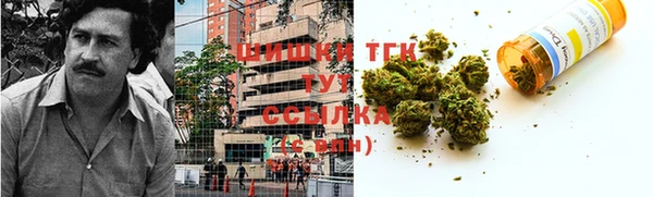 молекула духа Арсеньев